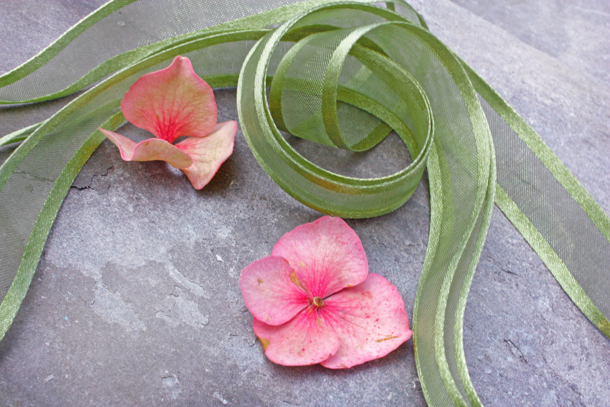 Interlude Olive, 3 widths