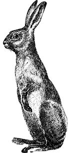 Easter Bunny_edited.png