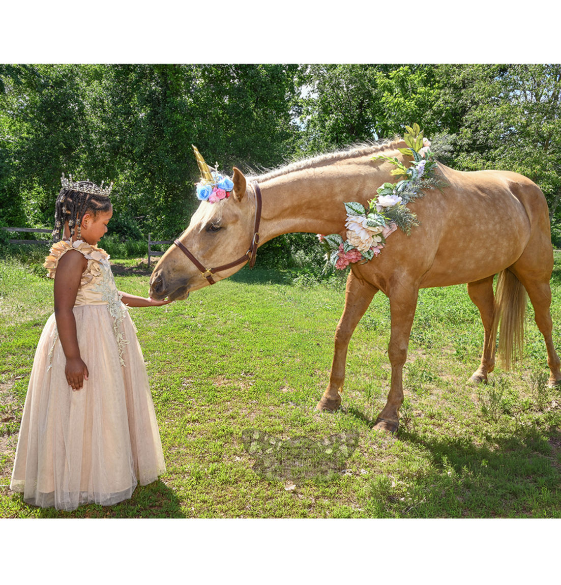Unicorn Mini-Sessions with a "real" unicorn