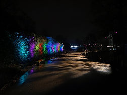 IMG_3172.jpg