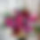 Thumbnail: LUXE Designer's Choice Arrangement