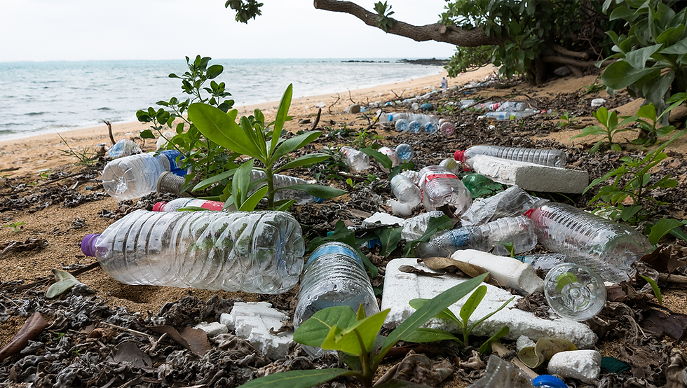 Plastic bottles on a beach