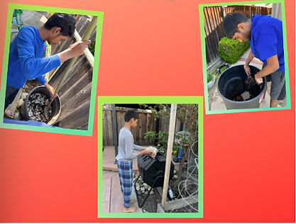 Screenshot 2024-07-20 at 8.15.54 AM.png