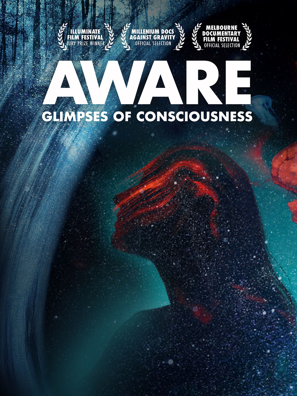 aware glimpses of consciousness.jpg