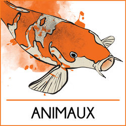 animaux