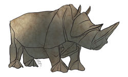 rhino.jpg