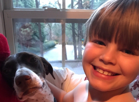 How Pet Adoption Teaches Love & Rescue