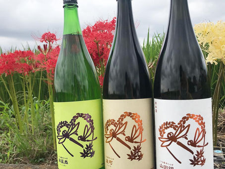 Izumibashi: Kanagawa's rice field-to-bottle brewery