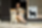 Yoshimi-san and Akita Inu.png