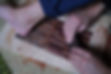 hands and feet close up yatuyanagi .jpeg
