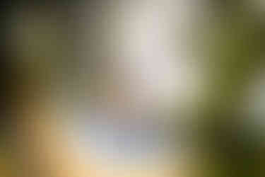 Rainbow Flare of a Polaroid Land Camera Model 150 Lens 130mm f/8.8