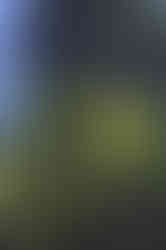 Laack Anastigmat 1:2.5 f=7.5cm Ihagee Projector Lens Photos