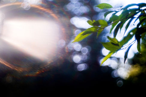 Rays of Sun Create Flare on Steinheil Munchen Magnostar 1:2.8 f=8cm VL Projector Lens