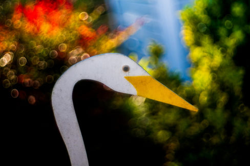 Photo Taken with a Steinheil Munchen Magnostar 1:2.8 f=8cm VL Projector Lens