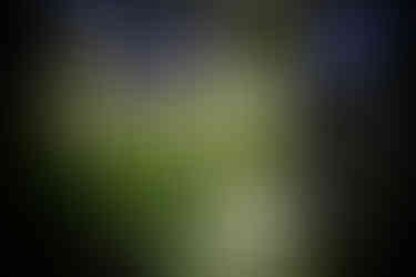 Photo Taken with Meyer Gorlitz 3.5cm projector lens has swirly bokeh and shallow depth of field