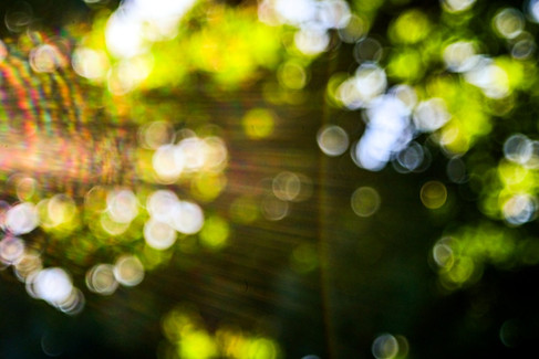 Kodak Projection Ektar f:4.5 75mm Enlarger Lens Flare Quality