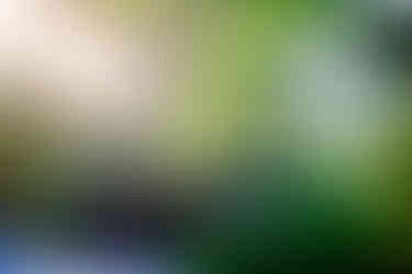 Flare Quality of a Steinheil Munchen Magnostar 1:2.8 f=8cm VL Projector Lens