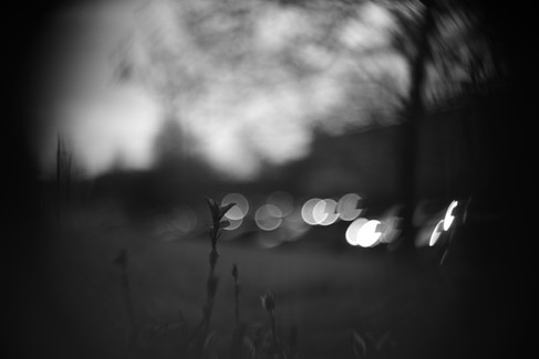 Meyer Gorlitz Kinon Superior f=3.5cm Projector Lens Black and White Photo Sample Swirly Bokeh
