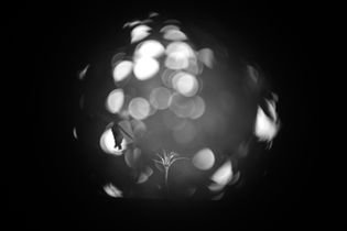 Vintage Bell & Howell 16mm 2inch f/1.6 Projection Lens Bokeh Test and Review