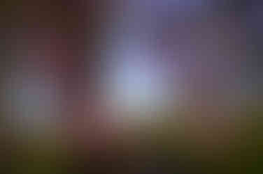 Sample photo by Meyer Gorlitz Kinon Superior I 1:1.8 f=5cm Projector Lens swirly bokeh