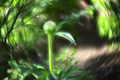 Meyer Gorlitz (no name) F=5cm Projector Lens Photo Bokeh