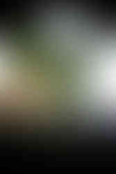 Vintage Bell & Howell 3inch f/2 Incre-Lite 16mm Projection Lens Flare Test Sample Shot