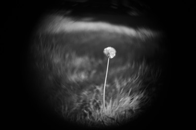 Hugo Meyer & Co Gorlitz Kinon Superior I F=3.5cm Projector Lens infrared shot