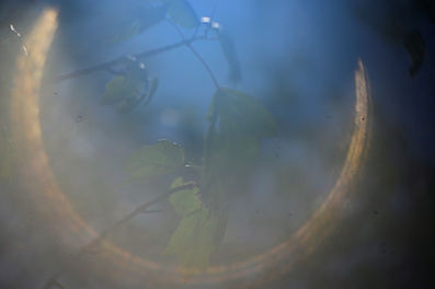Delineascope Model 0 Projector Lens by Spencer Lens Co Flare Quality