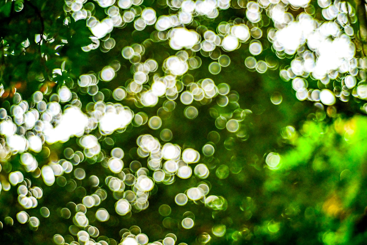 Tanaka Kogaku Japan Tanar H.C. 1:2 f=5cm Lens Swirly and Bubbly Bokeh