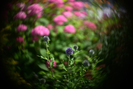 Meyer Gorlitz Kinon Superior I f=5cm Projector Lens swirly bokeh photo sample