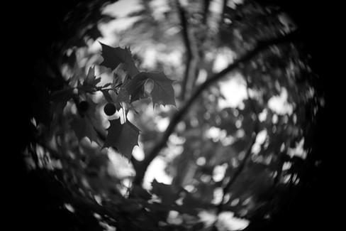 Vintage Bell & Howell 3inch f/2 Incre-Lite 16mm Projection Lens Swirly Bokeh in B&W Shot
