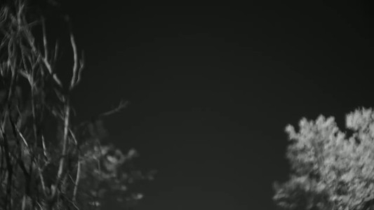 Laack Anastigmat 1:2.5 f=7.5cm Ihagee Projector Lens deep black and white video