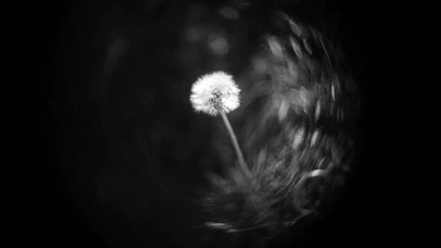 Hugo Meyer & Co Gorlitz Kinon Superior I F=3.5cm Projector Lens black and white video