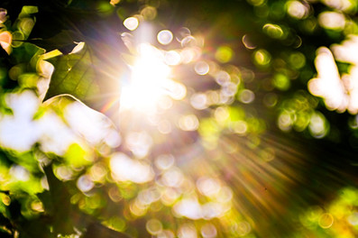 Kodak Projection Ektar f:4.5 75mm Enlarger Lens Flare in Color Photography