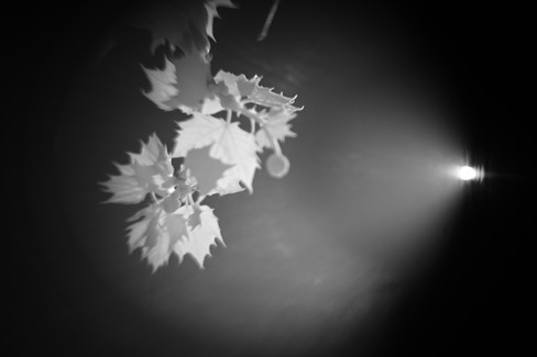 Hugo Meyer & Co Gorlitz Kinon Superior I F=3.5cm Projector Lens infrared flare