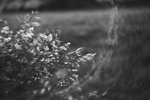 Meyer Gorlitz Kinon Superior I 1:1.8 f=5cm Projector Lens black and white flare