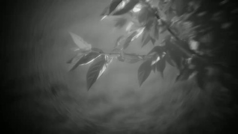 Meyer Gorlitz (no name) F=5cm Projector Lens Black and White Video
