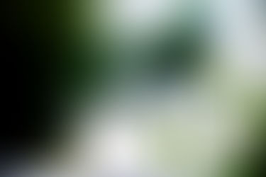 Photo Taken with a Steinheil Munchen Magnostar 1:2.8 f=8cm VL Projector Lens