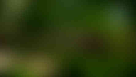 Laack Anastigmat 1:2.5 f=7.5cm Ihagee Projector Lens video sample