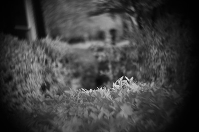 Kinon Superior I F=5cm Hugo Meyer & Co Gorlitz Projector Lens infrared photo sample