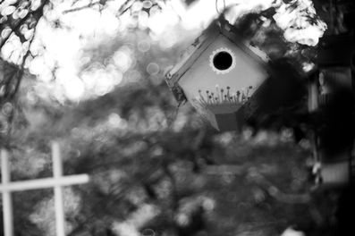 Steinheil Munchen Magnostar 1:2.8 f=8cm VL Projector Lens Black and White Photo