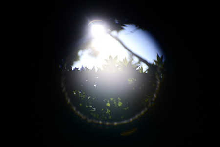 Bell & Howell 16mm 2inch f/1.6 Projection Lens Flare in Sample Shot