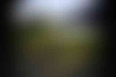 Meyer Gorlitz Kinon Superior 3.5cm projector lens has strong swirly bokeh and shallow depth of field