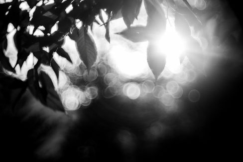 Flare Effect of a Steinheil Munchen Magnostar 1:2.8 f=8cm VL Projector Lens
