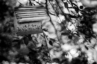 Steinheil Munchen Magnostar 1:2.8 f=8cm VL Projector Lens Black and White Bokeh