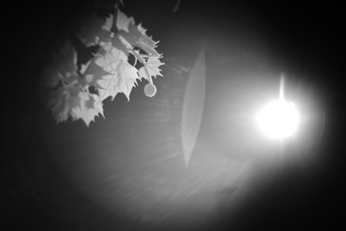 Hugo Meyer & Co Gorlitz Kinon Superior I F=3.5cm Projector Lens infrared flare