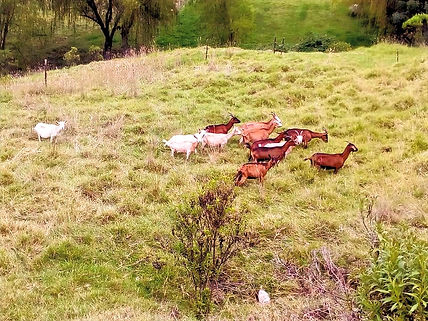 200281088_2065107093655853_4212996336611