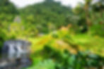 AdobeStock_122296604.jpeg