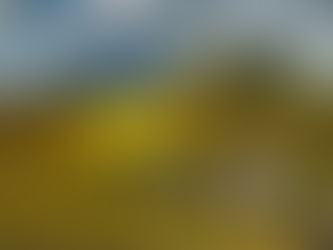 "Η Απώλεια του Αλόγου του Γέρου στα Σύνορα"