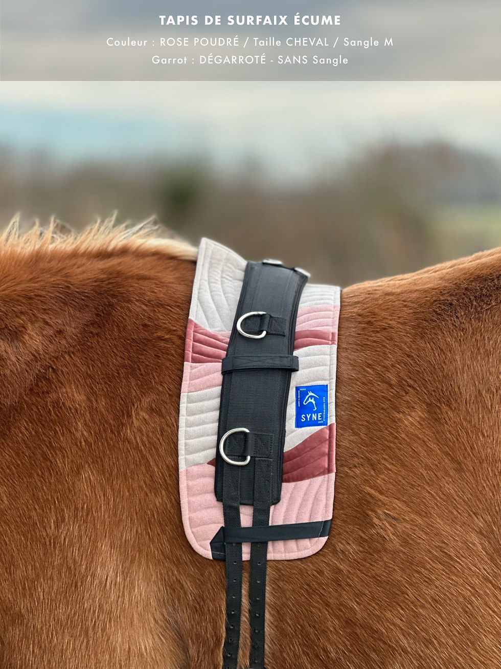Thumbnail: Écume - Surcingle Saddle pad